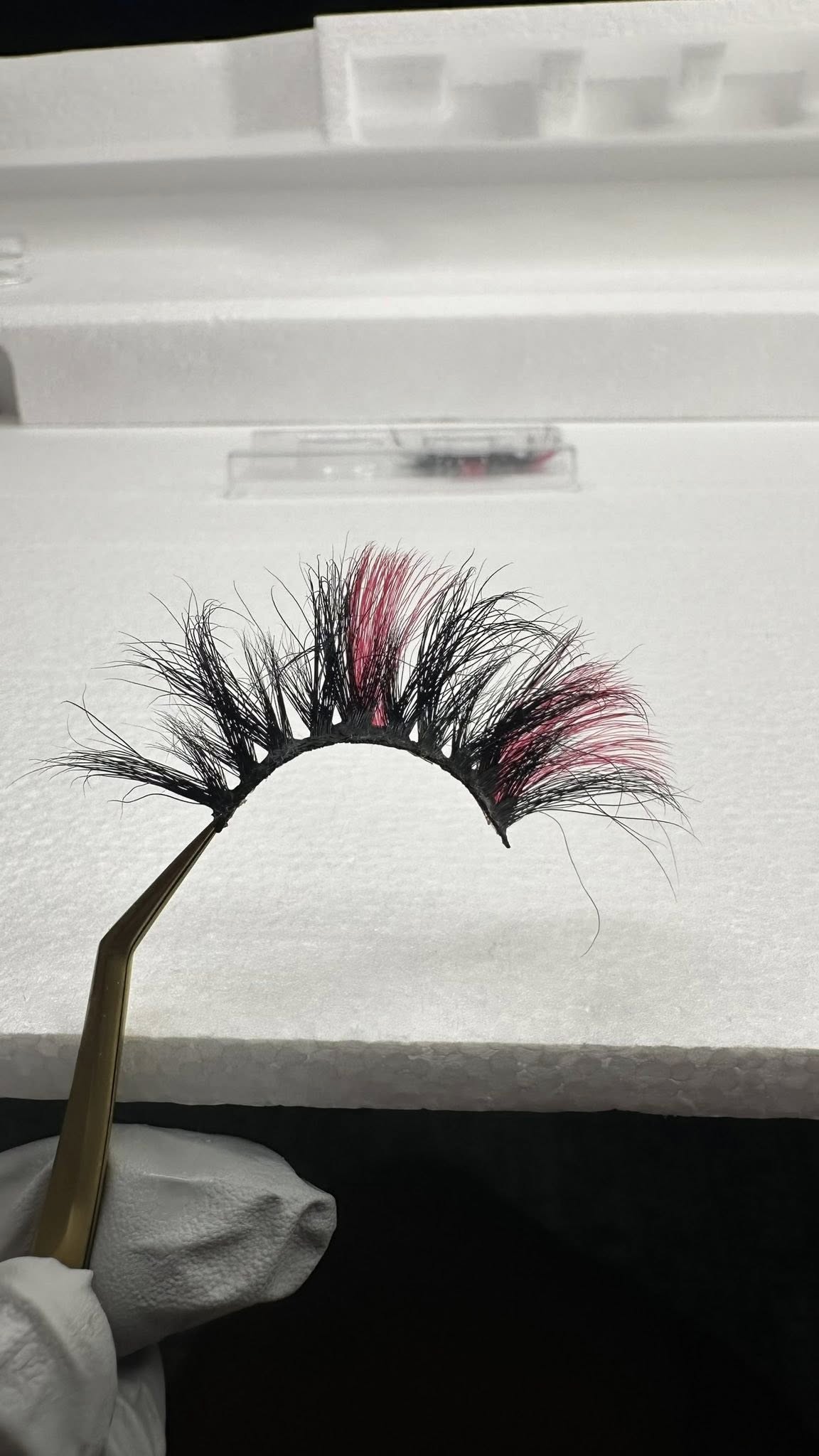 Lashlicious