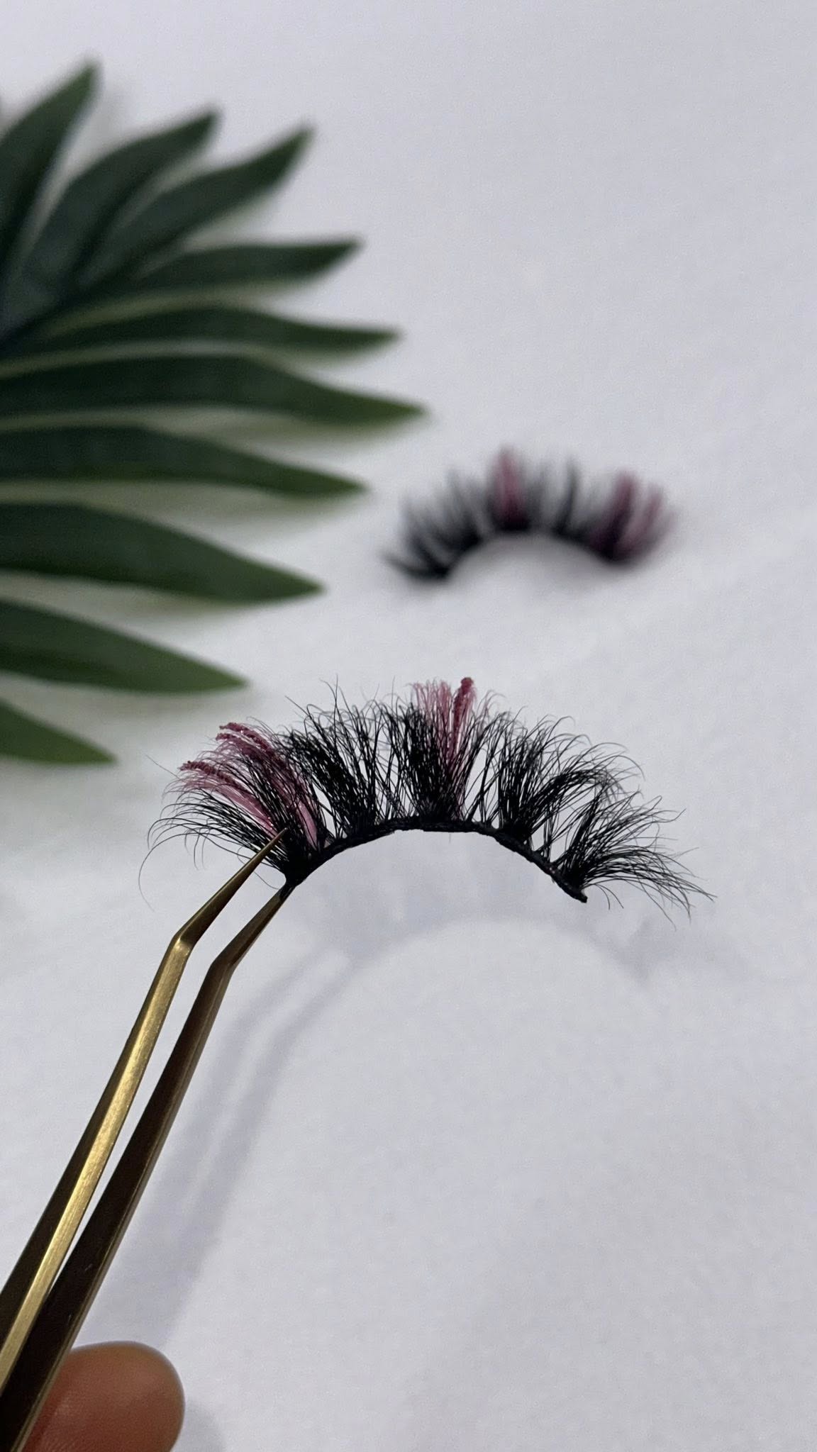 Lash Out Loud Bundle