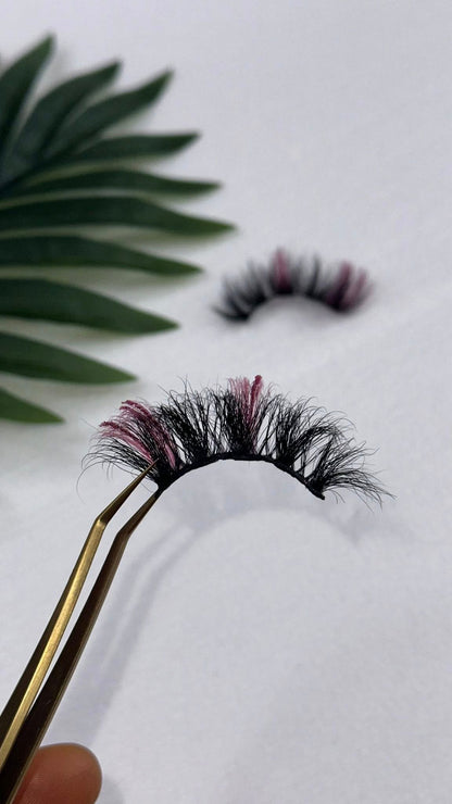 Lash Out Loud Bundle